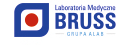 Logo LM Bruss Grupa Alab Sp. z o.o.